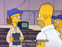 Season 2 GIF by The Simpsons