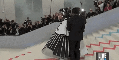 Met Gala GIF by E!