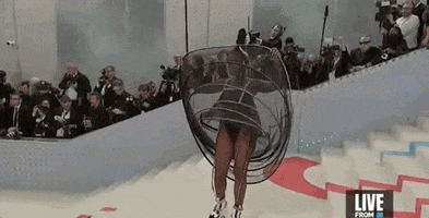 Met Gala GIF by E!