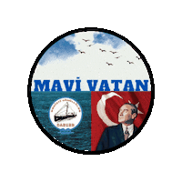 Beach Sea Sticker by dargeb