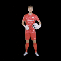 Hugo Circling GIF by FC Slovan Liberec