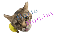 Maria Monday Sticker by Pets Club SG