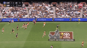 Carlton Fc Afl GIF by Carlton Football Club