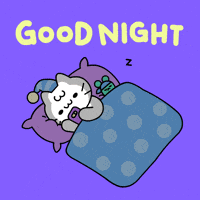 Good Night Cat GIF by Mikitti
