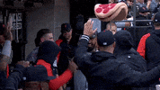 Happy Home Run GIF by Bally Sports Detroit