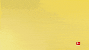 Borussia Dortmund Yes GIF by Bundesliga