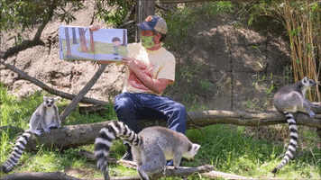 OaklandZoo animals books reading zoo GIF