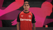 Bayer Leverkusen B04 GIF by Bundesliga