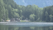 tirol summer water relax forest GIF