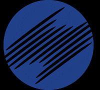 sportingclubarbizzano sportingclubarbizzano GIF