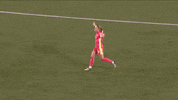 Hype Up Lets Go GIF by National Women's Soccer League