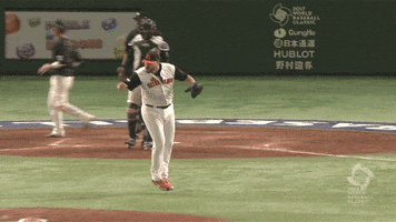 world baseball classic GIF by MLB