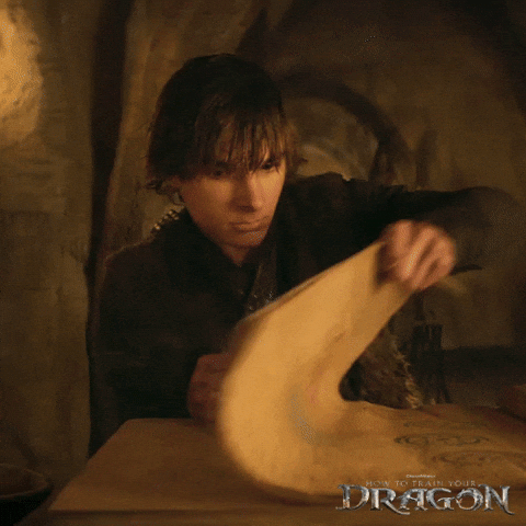 Dragons Dreamworks GIF by How To Train Your Dragon