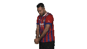 Hdh Sticker by Bundesliga