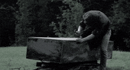 i.h.e. GIF by Miss May I