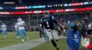 carolina panthers football GIF by NFL