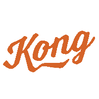 Austin Tx Art Sticker by Kong Screenprinting