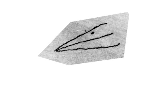 filemon-filemon giphyupload animation weird bird GIF