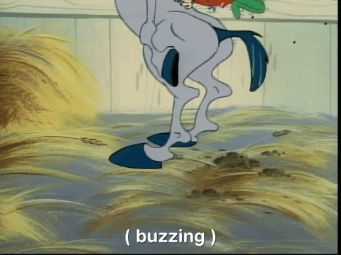 ren and stimpy nicksplat GIF