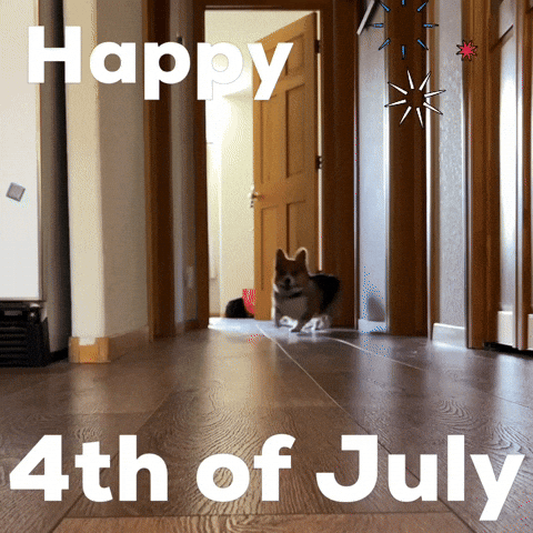 Happy 4Th Of July GIF