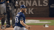 Major League Baseball Sport GIF by MLB