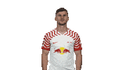 Rb Leipzig Thumbs Up Sticker by Bundesliga