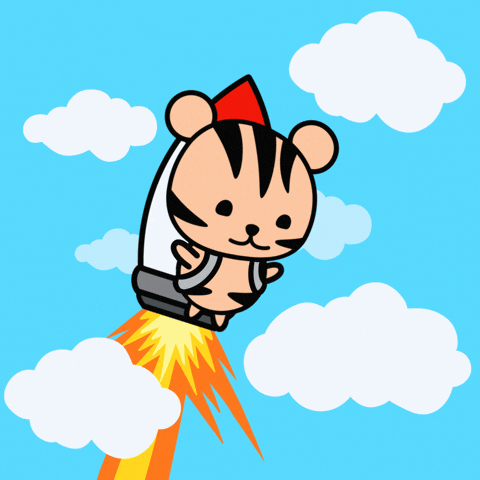 Rocket Tiger GIF by Critters Quest
