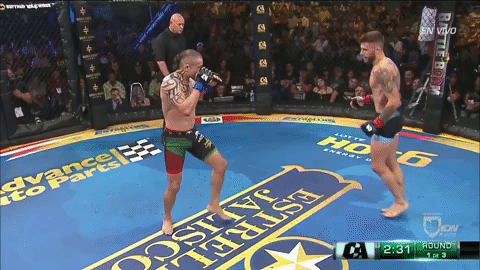 fight mma GIF by CombateAmericas