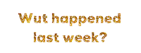 wut happened last week Sticker by chuber channel