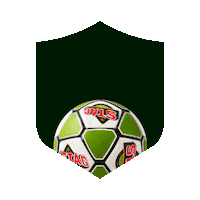 Game Time Football Sticker by CaribBreweryLtd