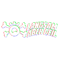 Racing Race Sticker by langsam aber geil