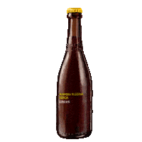 Beer Draw Sticker by cervezasalhambra