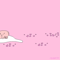 animation domination fox GIF by gifnews