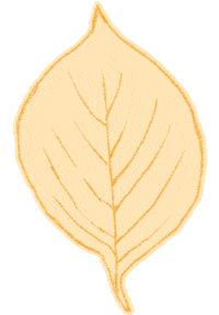 Falling Leaves Fall Sticker by The Happy Planner