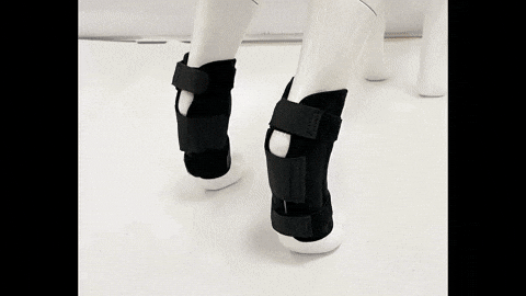 giphyupload GIF