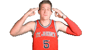 St Johns Three Pointer Sticker by St. John's Red Storm