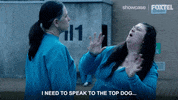 season 5 prison GIF by Wentworth