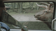 canada GIF by CBC