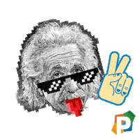 Poe Einstein Sticker by Poliedro Educação