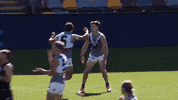Steven Motlop Football GIF by Port Adelaide FC