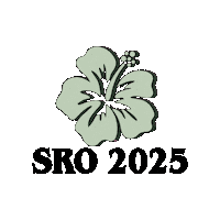 Southern Region Oireachtas Sticker by KAID