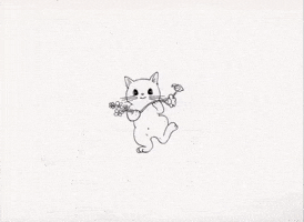 Cat Loop GIF by Qianhui_yuu