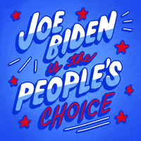 Election 2020 Democrat GIF by Creative Courage
