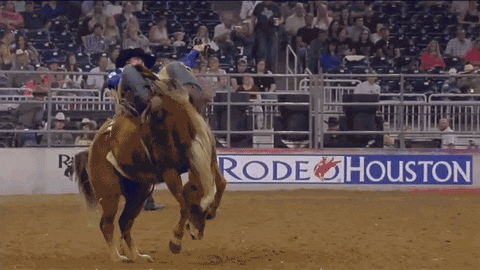 GIF by RODEOHOUSTON