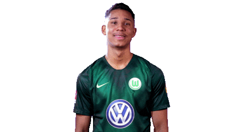 Prepare Felix Uduokhai Sticker by VfL Wolfsburg