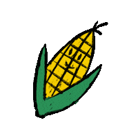 Festa Junina Mrncrds Sticker