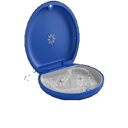 diamondbraces giphygifmaker happy smile blue Sticker