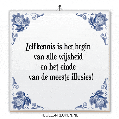 Nl Wijsheid GIF by Tegelspreuken.nl