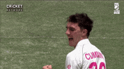 cricketcomau celebration punch cricket bowling GIF