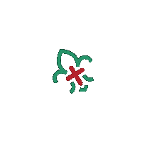 Corpo Nacional De Escutas Sticker by escutismo